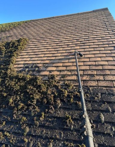Roof Cleaning